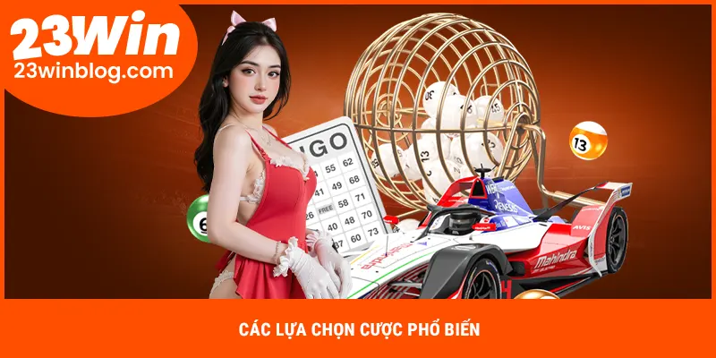 Các loại cược trong xổ số siêu tốc là gì?