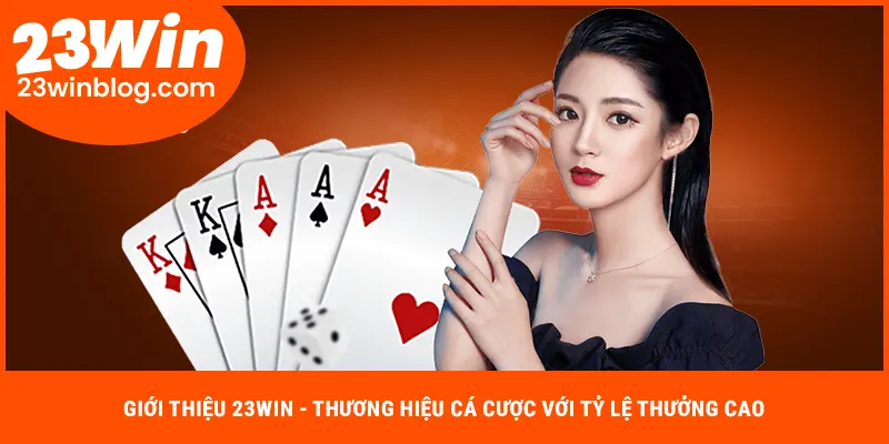 Giới thiệu 23Win