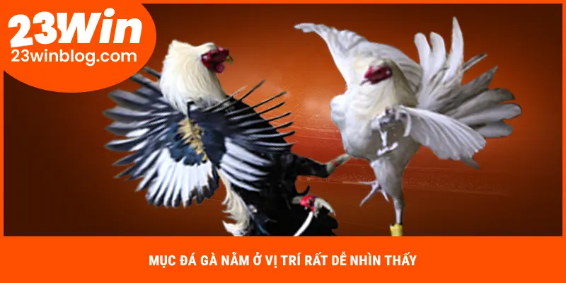 Mục đá gà nằm ở vị trí rất dễ nhìn thấy